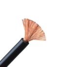 1000032258-1-450×450